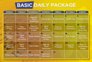 Daily SEO Basic Plan